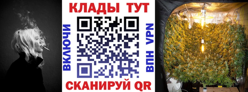 Купить закладку Новотитаровская A-PVP  ЭКСТАЗИ  Cocaine  Меф мяу мяу 