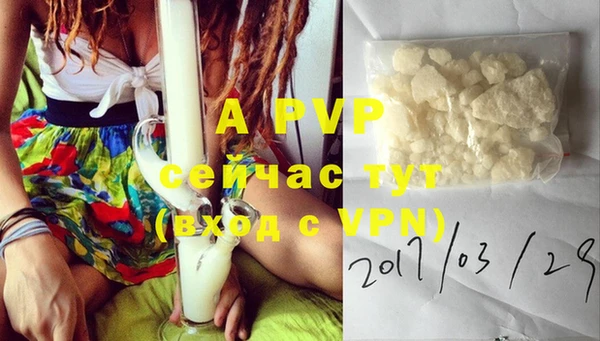 ECSTASY Липки