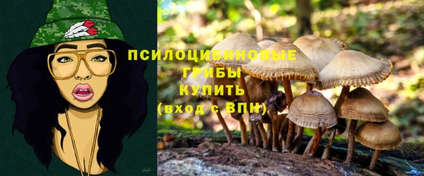 ECSTASY Липки