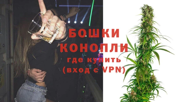 ПСИЛОЦИБИНОВЫЕ ГРИБЫ Долгопрудный
