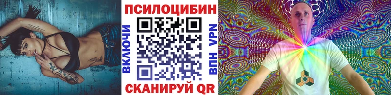 Псилоцибиновые грибы прущие грибы  купить наркоту  Новотитаровская 
